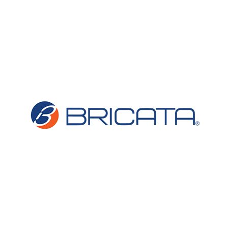 Bricata