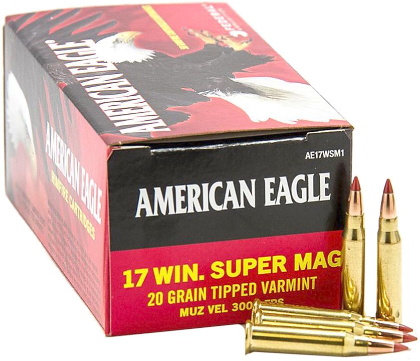 DICK'S Sporting Goods Guns & Ammo