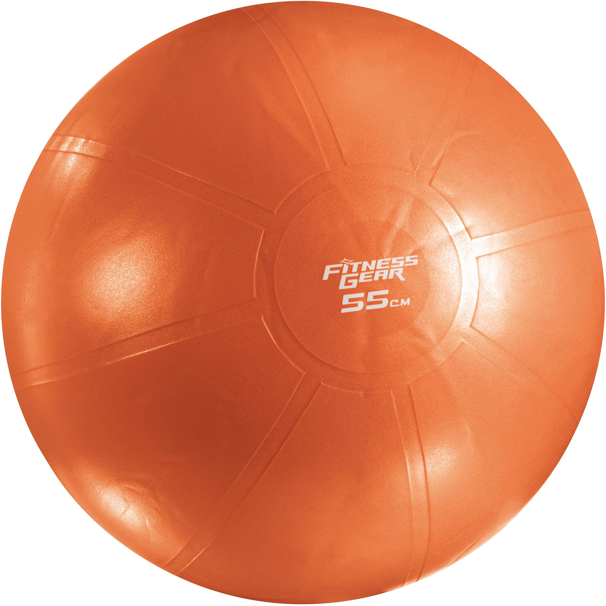 Exercise Balls & Stability Balls | DICK'S Sporting Goods