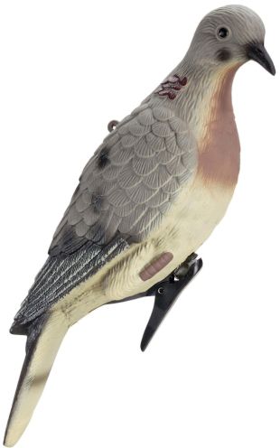 Watch Lucky Duck Streaming