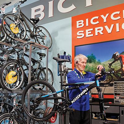 mountain bike service cost