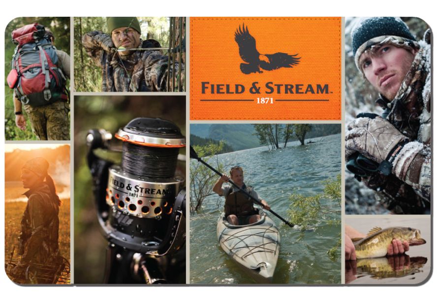 Present Playing cards - Retain the services of On line or Within just-Retail outlet Business Circulation photo about Field and Stream Coupons Printable known as Present Playing cards - Hire On line or Inside of-Retail store Marketplace Movement