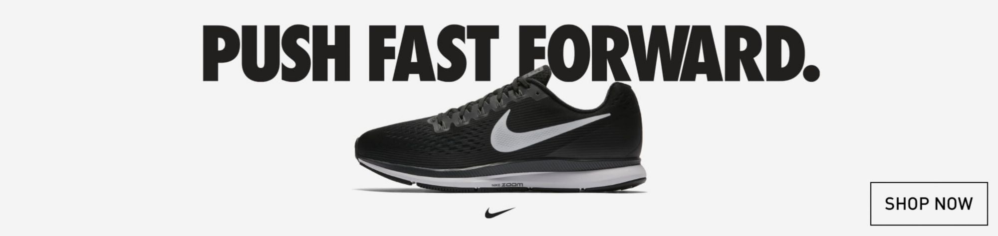dicks sporting goods nike pegasus