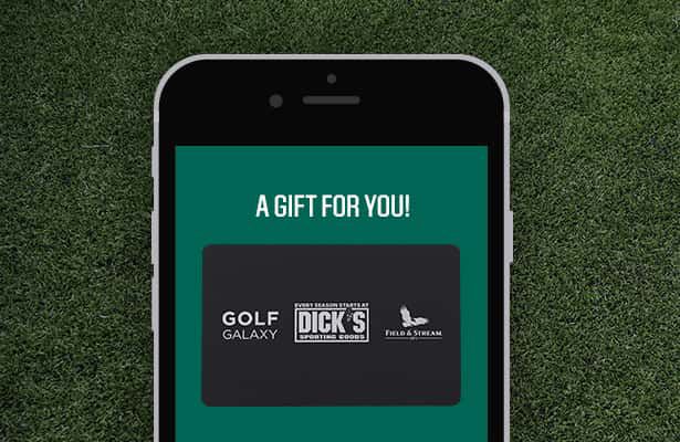 Gift Cards And Balance Check Dick S Sporting Goods