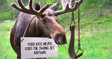 elk memes