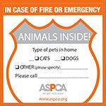 Pet rescue alert stickers, This image is for decoration purpose only