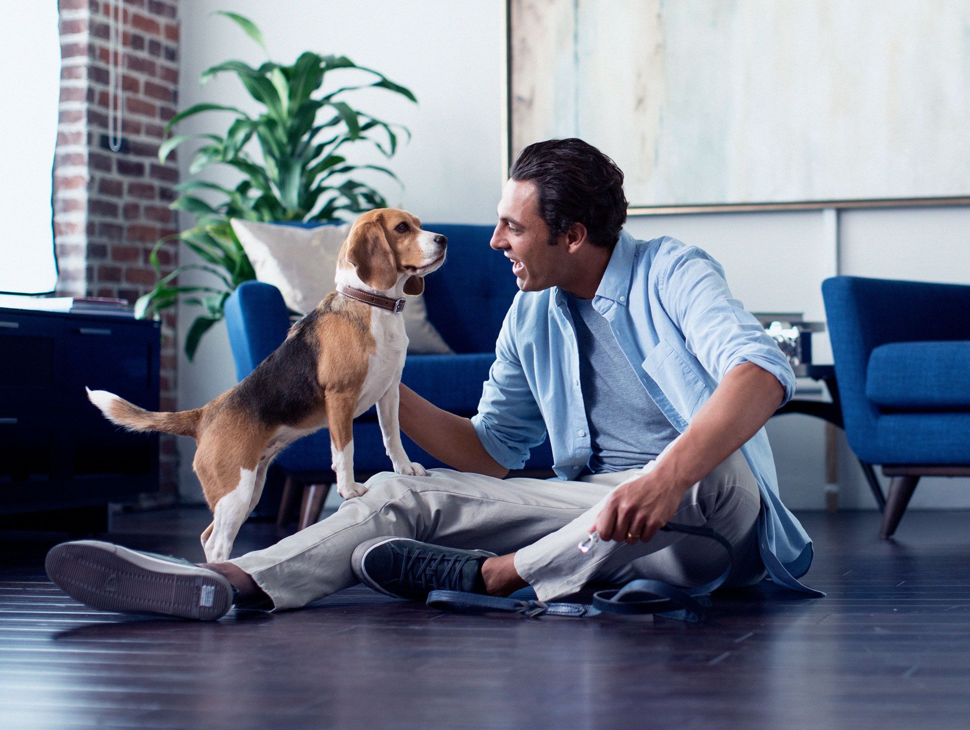 Insurance For Dogs >> Pet Insurance Plans For Dogs Cats Farmers Insurance Insurance For Dogs >> Pet Insurance Plans For Dogs Cats Farmers Insurance