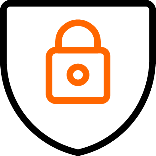 Network Security icon