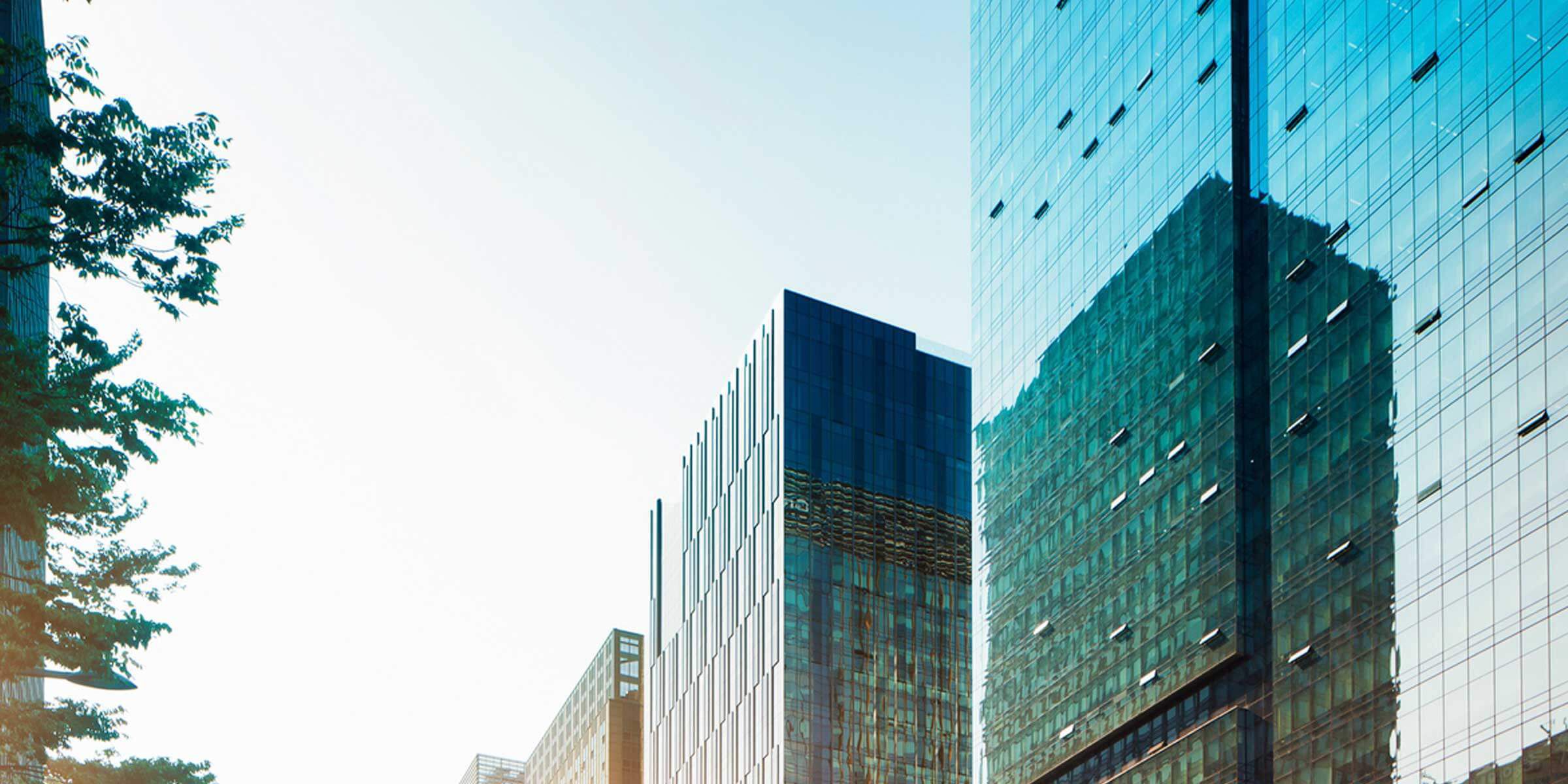a group of tall glass buildings