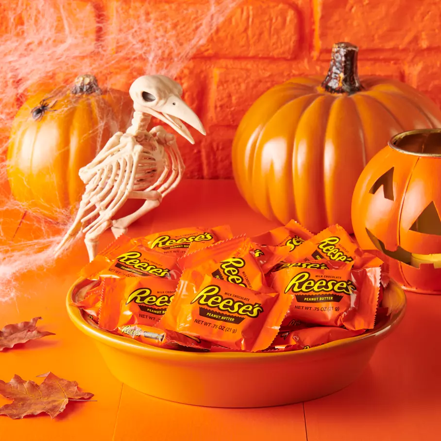 REESE'S Milk Chocolate Snack Size Peanut Butter Cups inside halloween bowl on porch