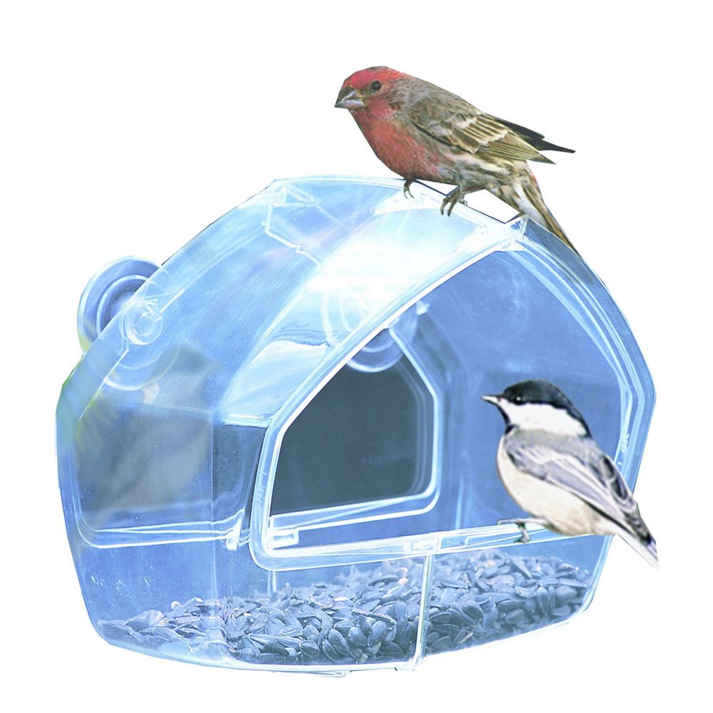 Perky Pet Window