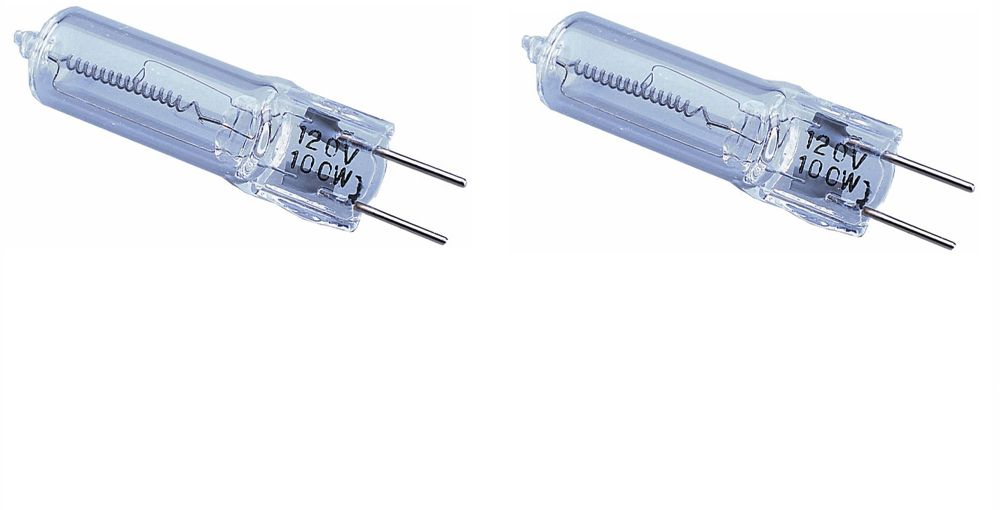 Defiant Halogen Replacement Bulb 2 Pack The Home Depot Canada