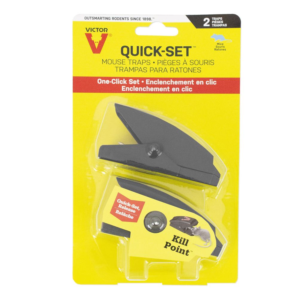Victor quick set mouse trap 2pk the home depot canada