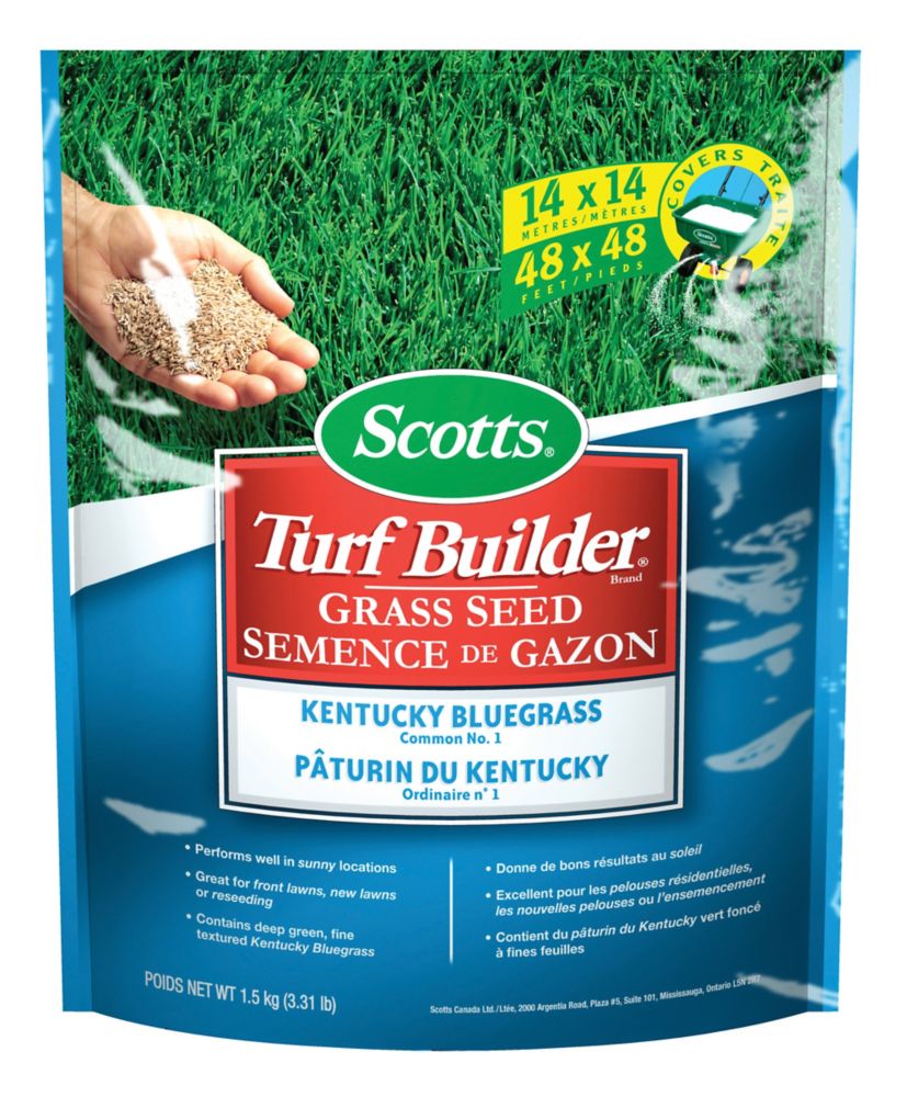 Scotts Scotts Turf Builder Kentucky Blue Grass Seed | The Home Depot Canada