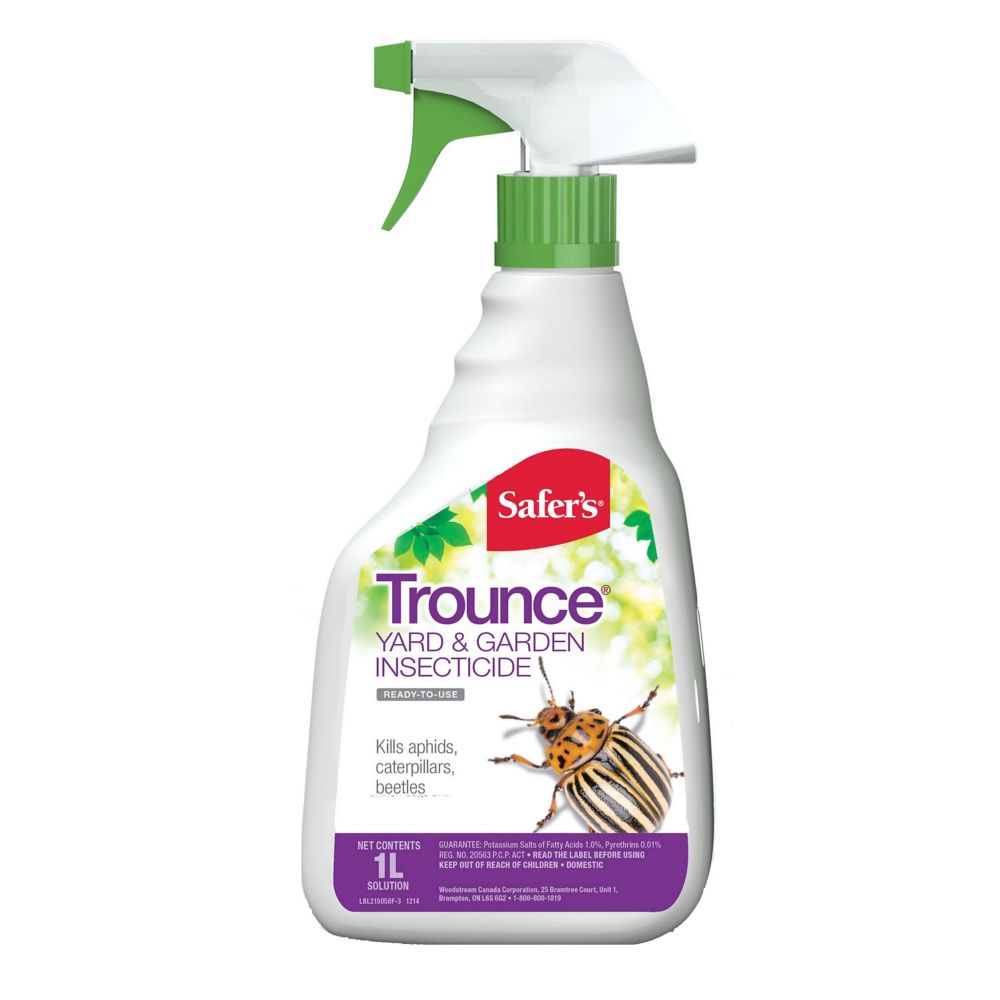 Safer'S Insecticide Trounce pour cours et jardins de prêtàutiliser