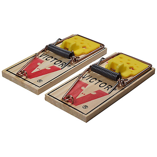Victor Easy Set Mouse Trap (2-Pack) | The Home Depot Canada