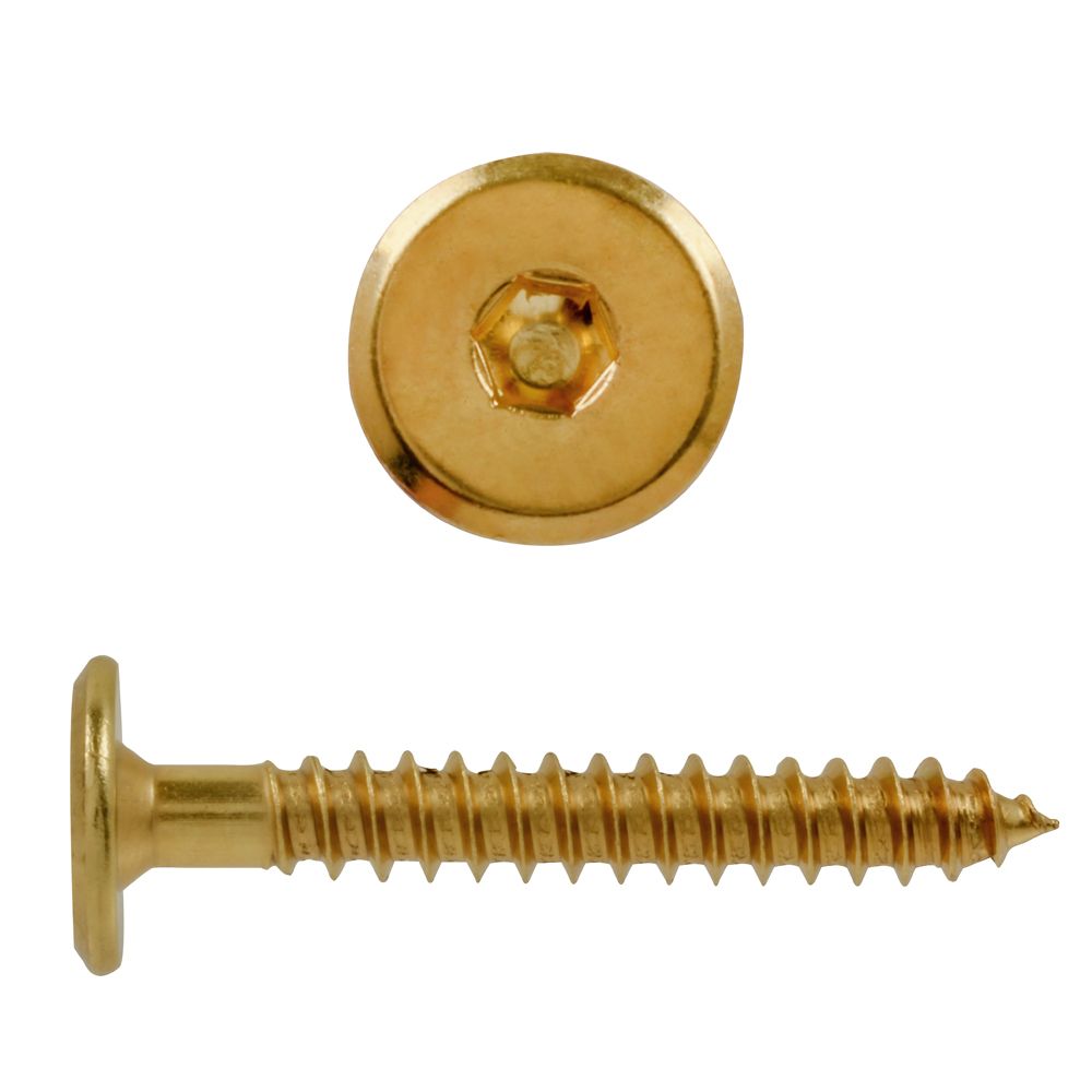 Paulin M7X2 Connector Screw Brass Pltd The Home Depot Canada