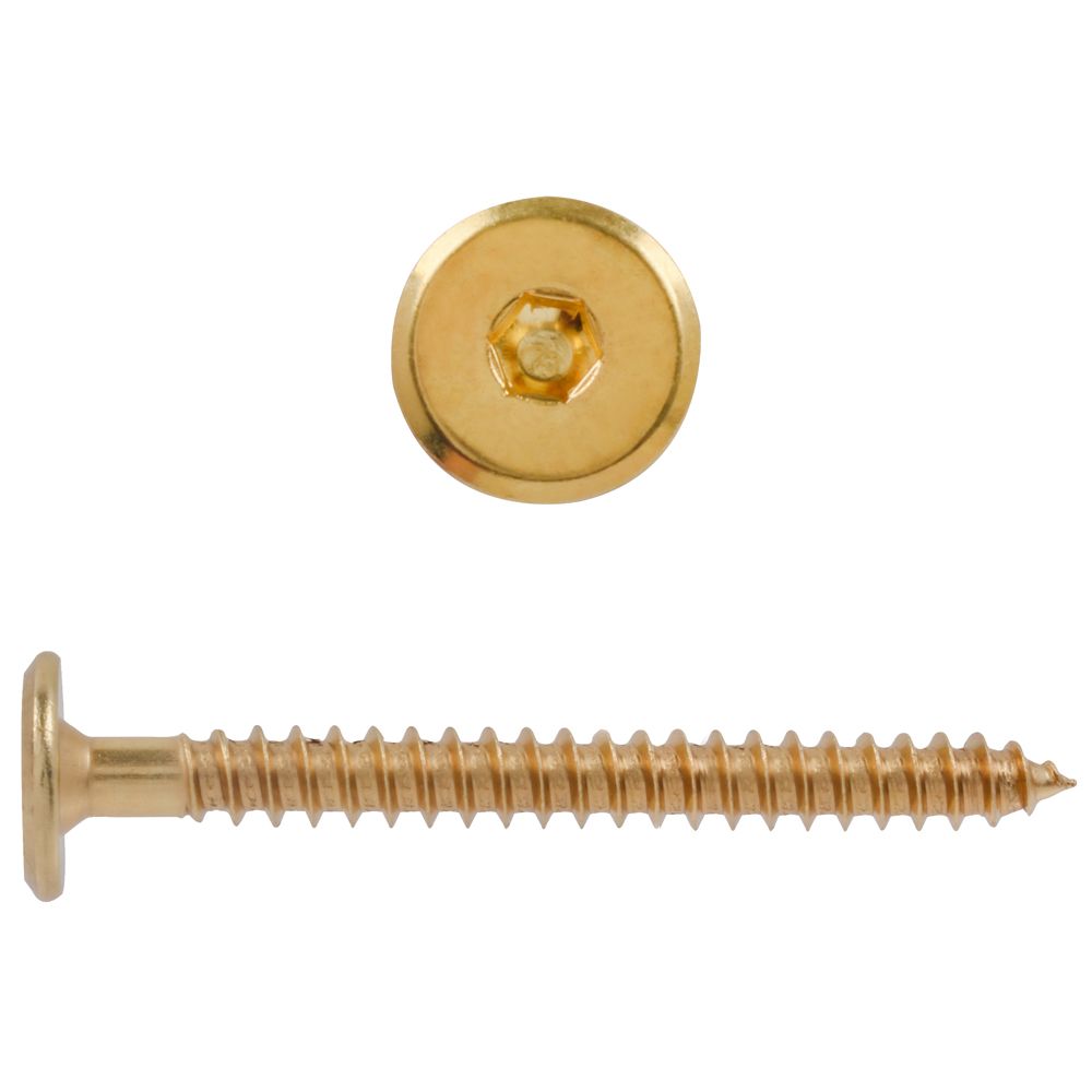 stainless steel screws home depot        
        <figure class=