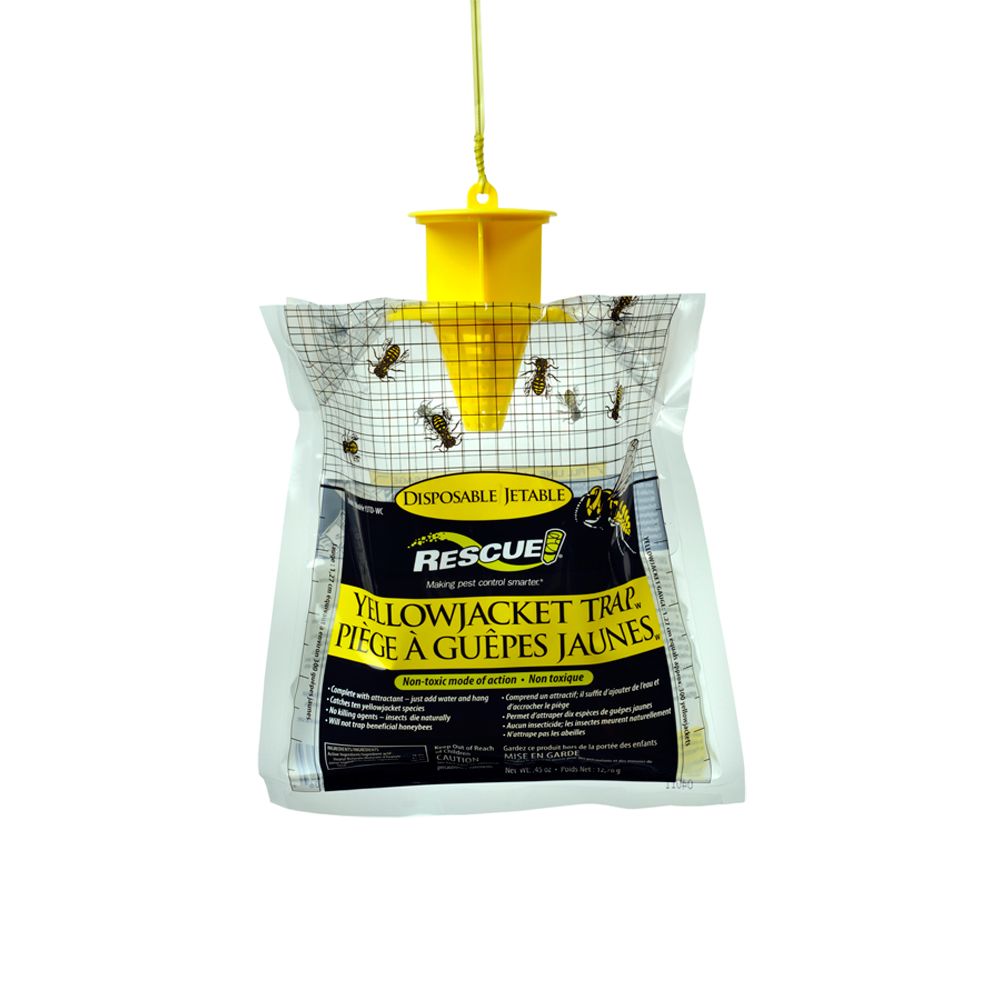 RESCUE! Canadian Non-Toxic Disposable Yellowjacket Trap | The Home ...