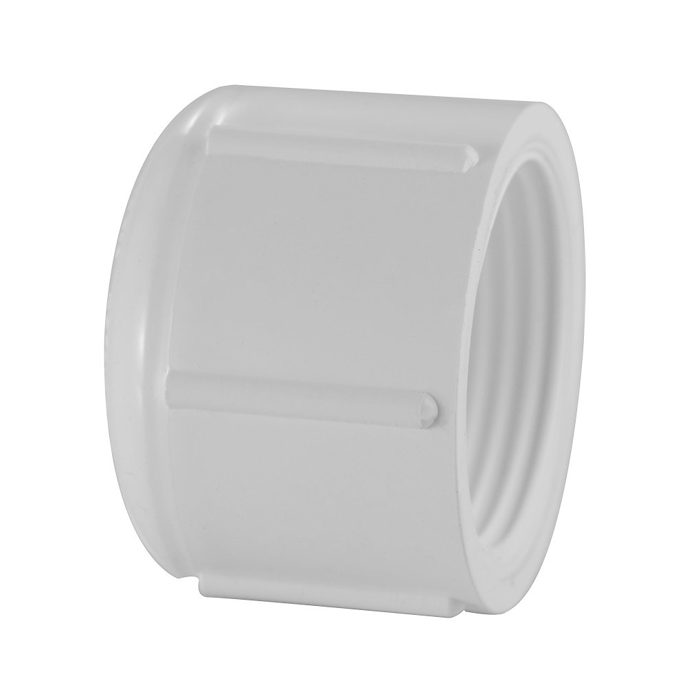 Nibco 3 4 In PVC Schedule 40 Cap FIPT The Home Depot Canada nibco-3-4-in-pvc-schedule-40-cap-fipt-the-home-depot-canada