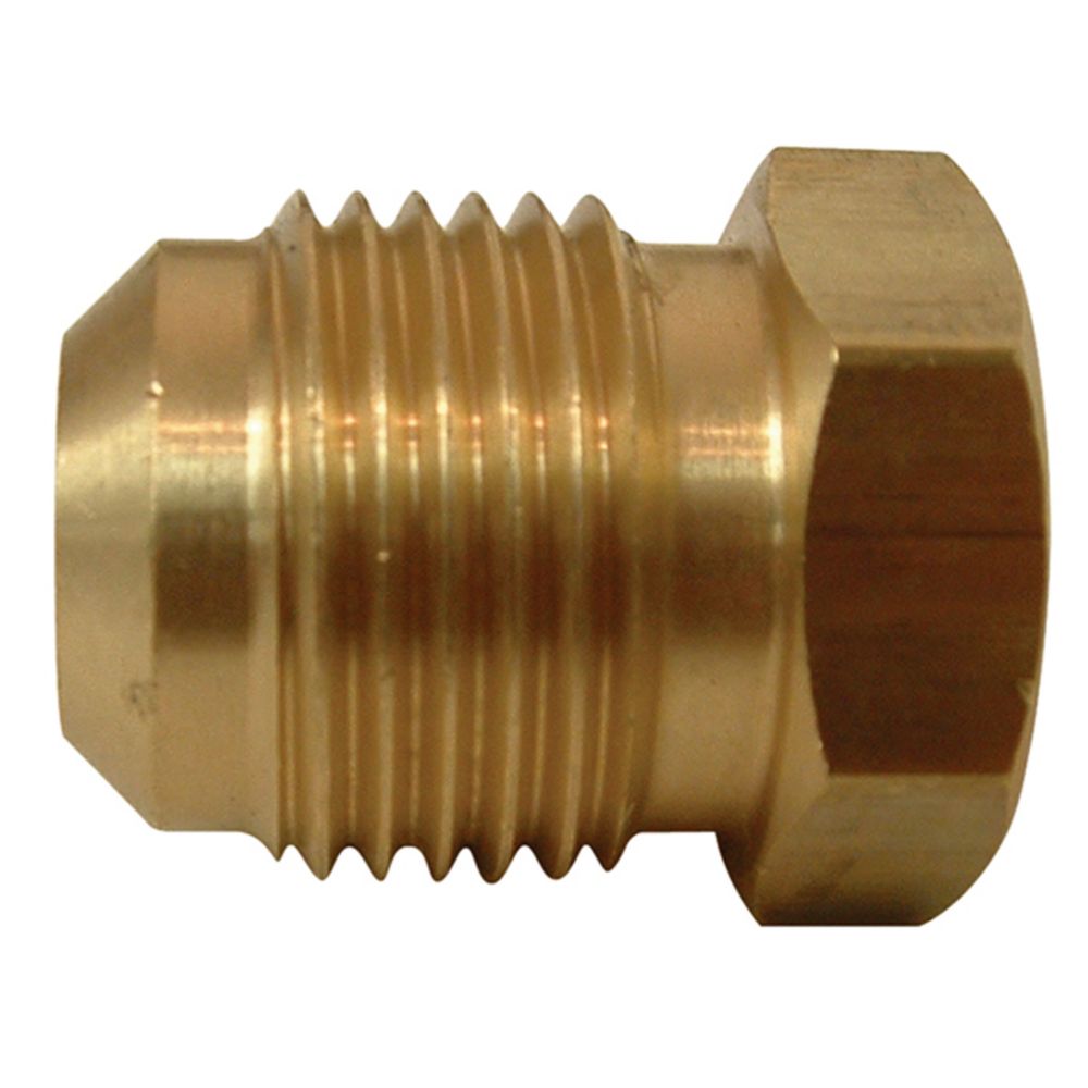 Watts Brass Flare Plug (3/8) The Home Depot Canada