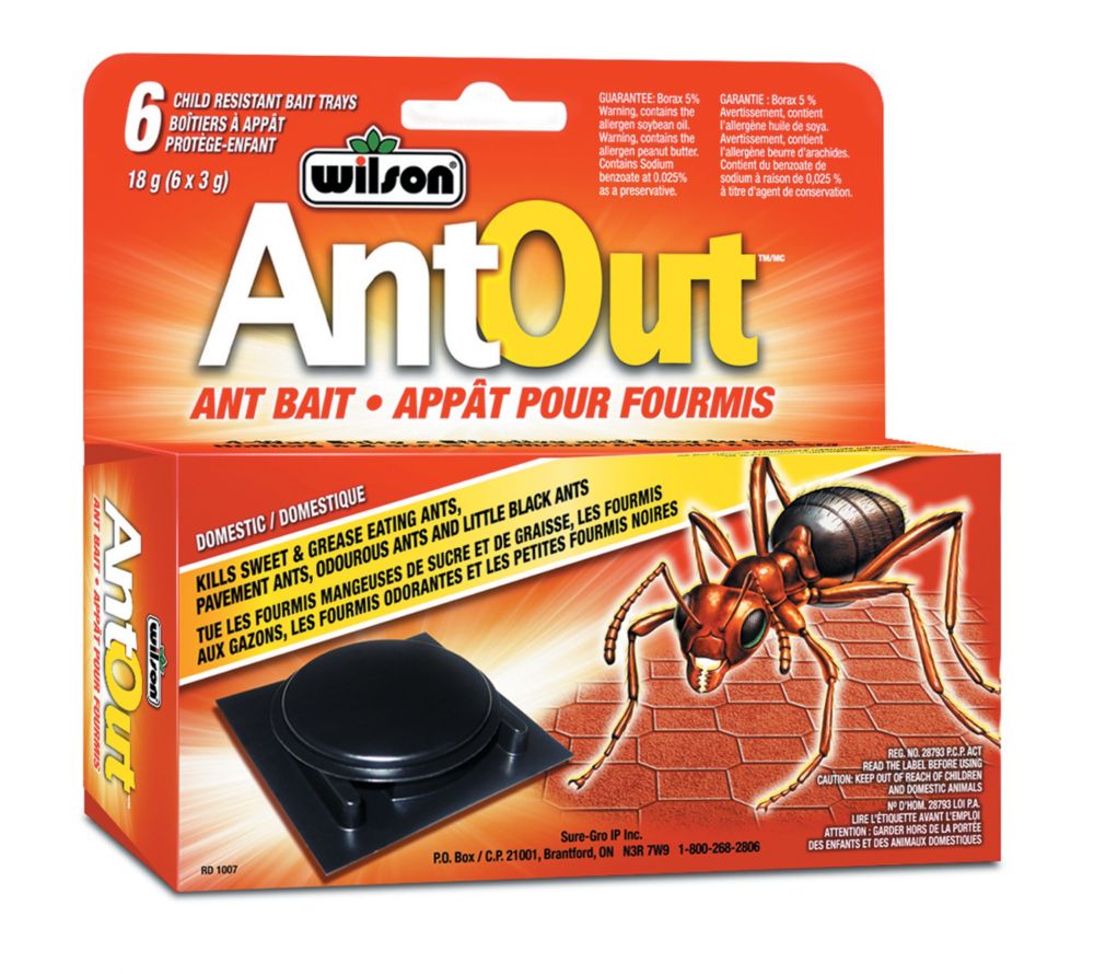 Ant traps target