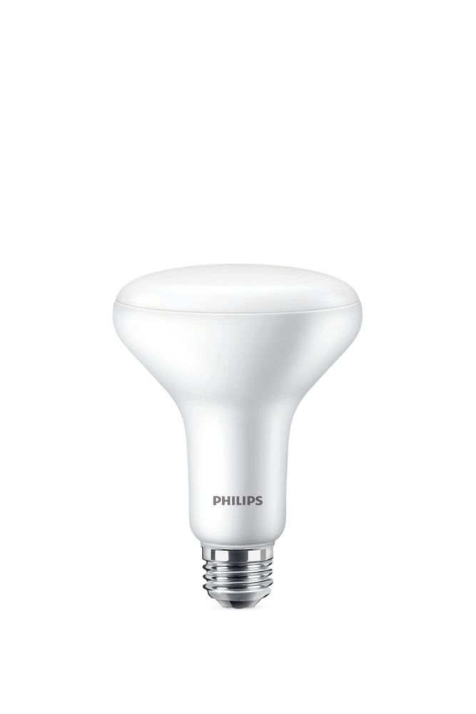Light Bulbs The Home Depot Canada