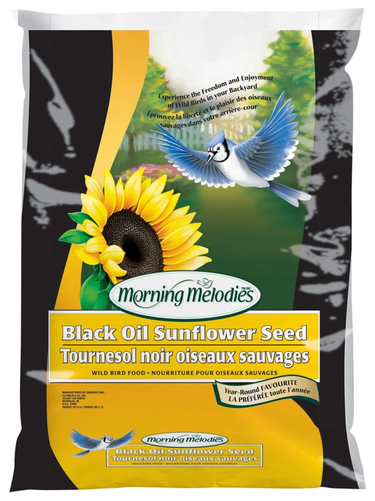 black sunflower seeds for birds home depot morning melodies morning melodies black sunflower seed black sunflower seeds for birds home depot morning melodies morning melodies black sunflower seed