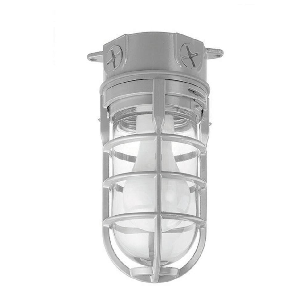 Carlon Metal Cage Light Ceiling Mount | The Home Depot Canada