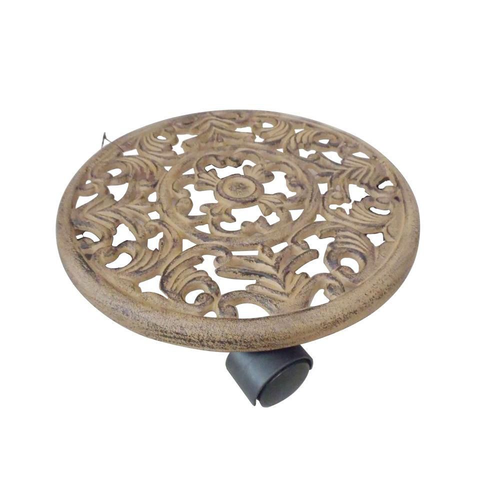 cast iron plant home depot cast iron plant home depot