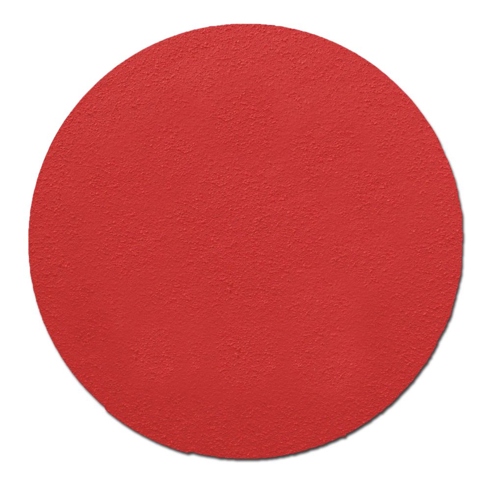 Diablo 6-inch Premium Sanding Discs (40 Grit) | The Home Depot Canada