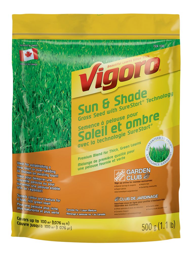 Vigoro Vigoro Sun & Shade Grass Seed with SureStart Technology 500 g