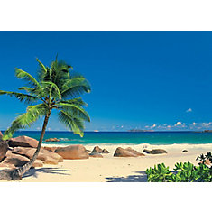 Home Depot Wall Murals shop wall decals & murals at homedepot.ca | the home depot canada Home Depot Wall Murals shop wall decals & murals at homedepot.ca | the home depot canada