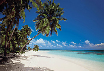 komar maldives beach scene mural the home depot canada
