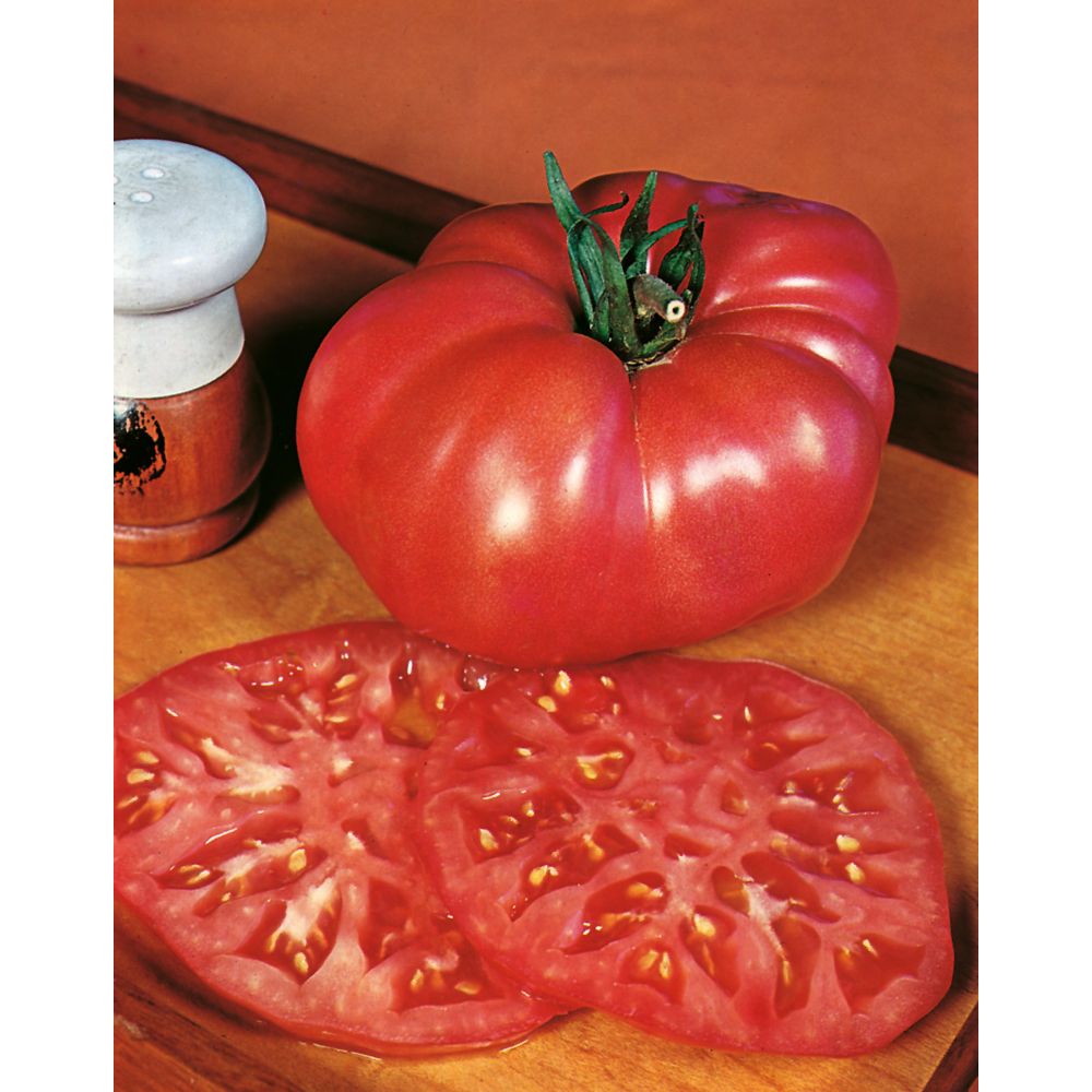 Mr. Fothergill's Seeds Tomato Ponderosa Pink Seeds The Home Depot Canada