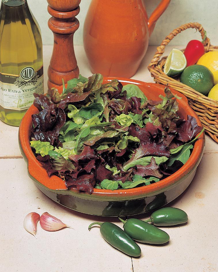 Mr. Fothergill's Seeds Lettuce Mixed Leaf Salad Seeds The Home Depot Canada