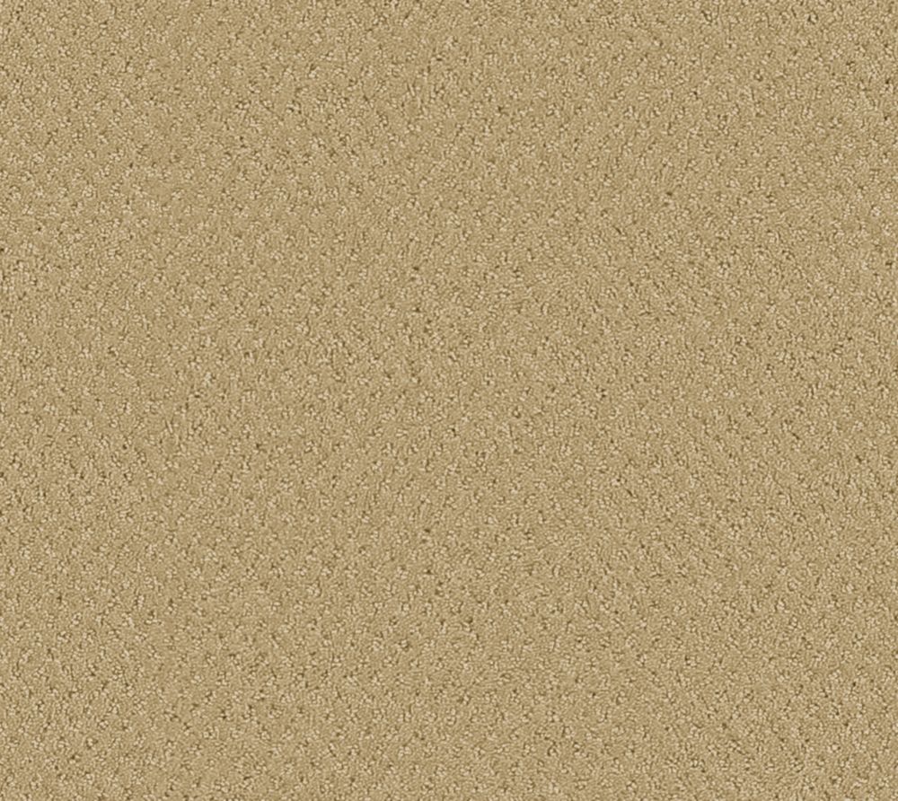 Beaulieu Canada Inspiring I New Fawn Carpet Per Sq. Ft. The Home