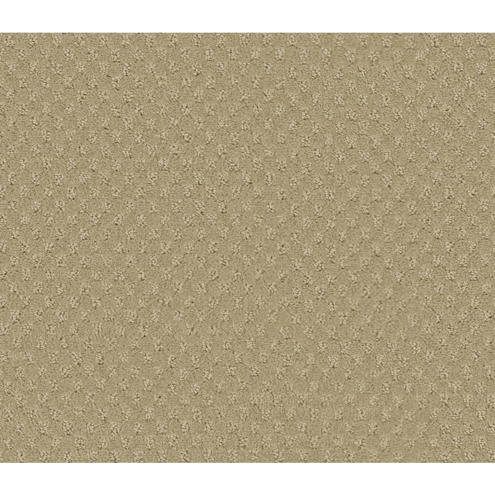 Beaulieu Canada Inspiring II New Fawn Carpet Per Sq. Ft. The Home