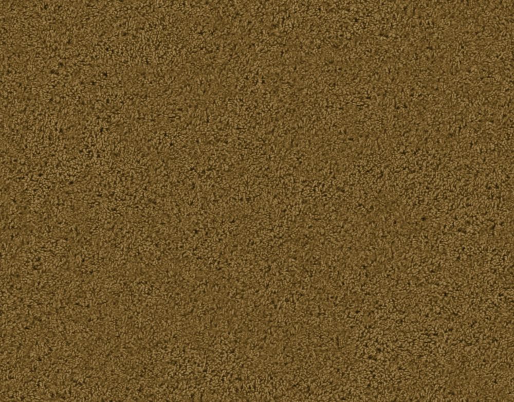 cost of carpet per square foot home depot