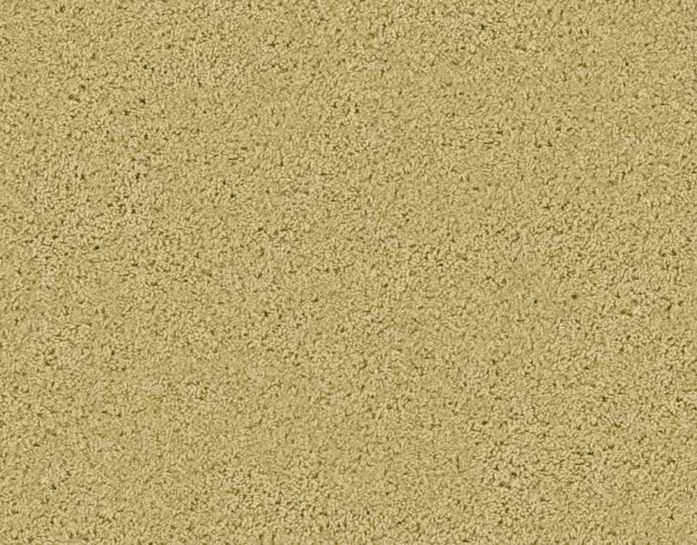 Beaulieu Canada Enticing II Sandstorm Carpet Per Sq. Ft. The Home