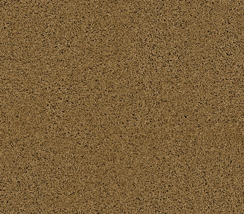 cost of carpet per square foot home depot