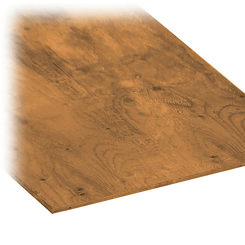 MicroPro Sienna 1/2" 4 x 8 Pressure Treated Plywood | The Home ...