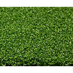 Greenline Putting Green 56 8 ft. x 12 ft. Artificial Grass for ...
