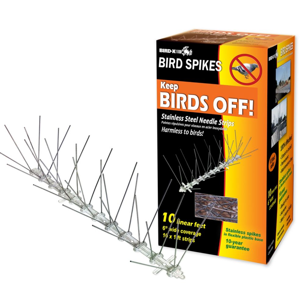 BirdX Inc. Stainless Steel Bird Spikes 10 Foot Kit Guaranteed Bird