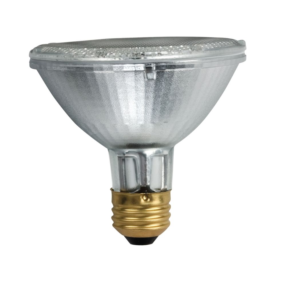 Halogen 50W PAR30 Short Neck