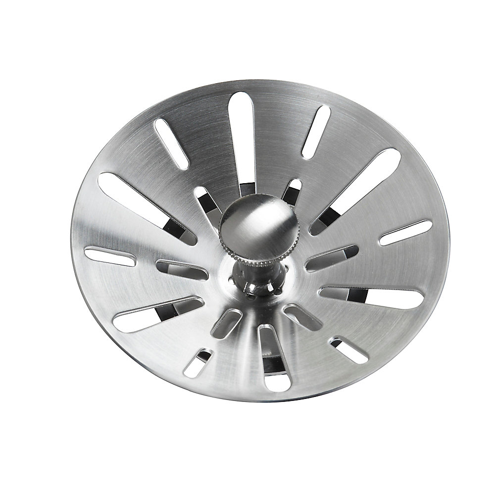 Moen Sink Strainer
