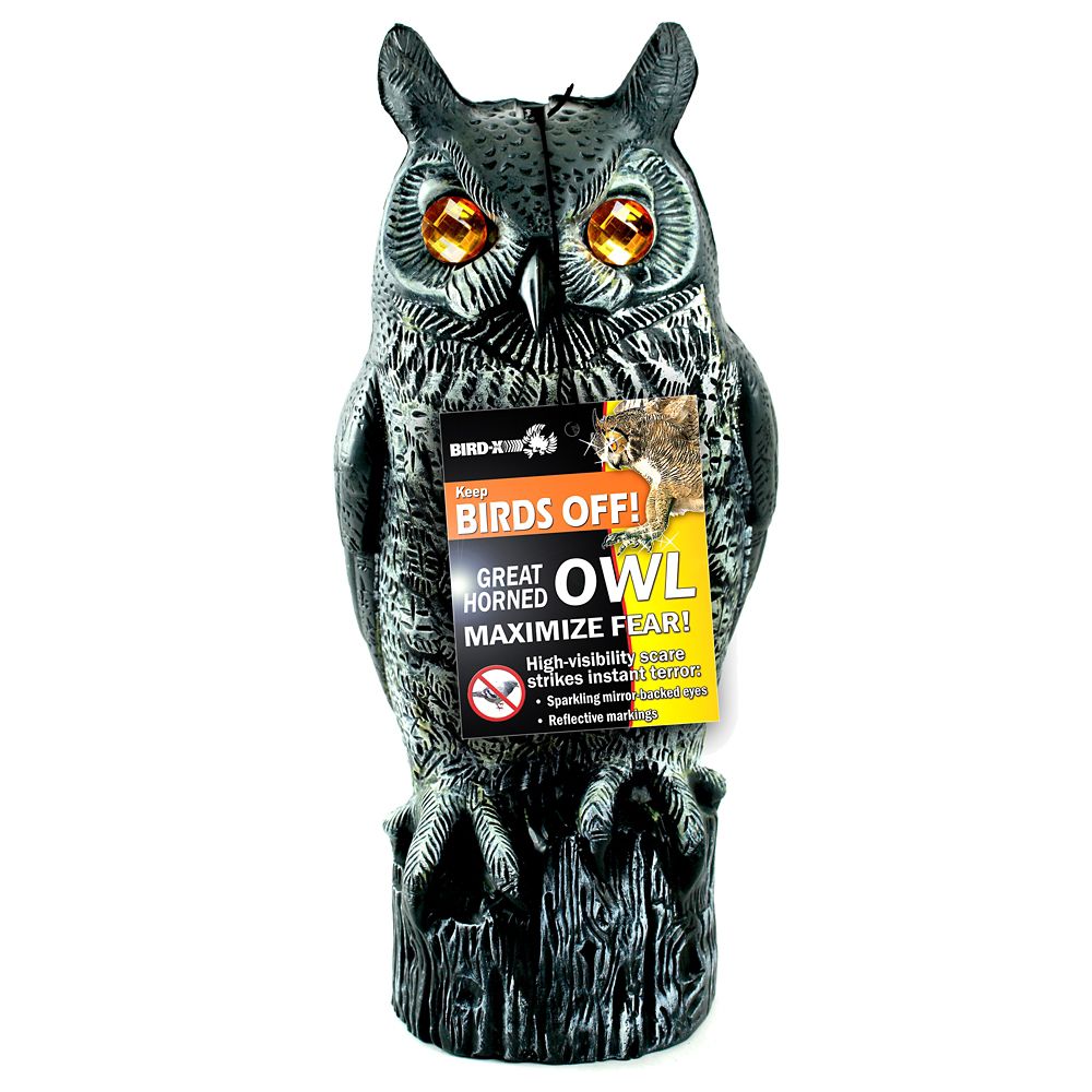 Great Horned Owl Decoy