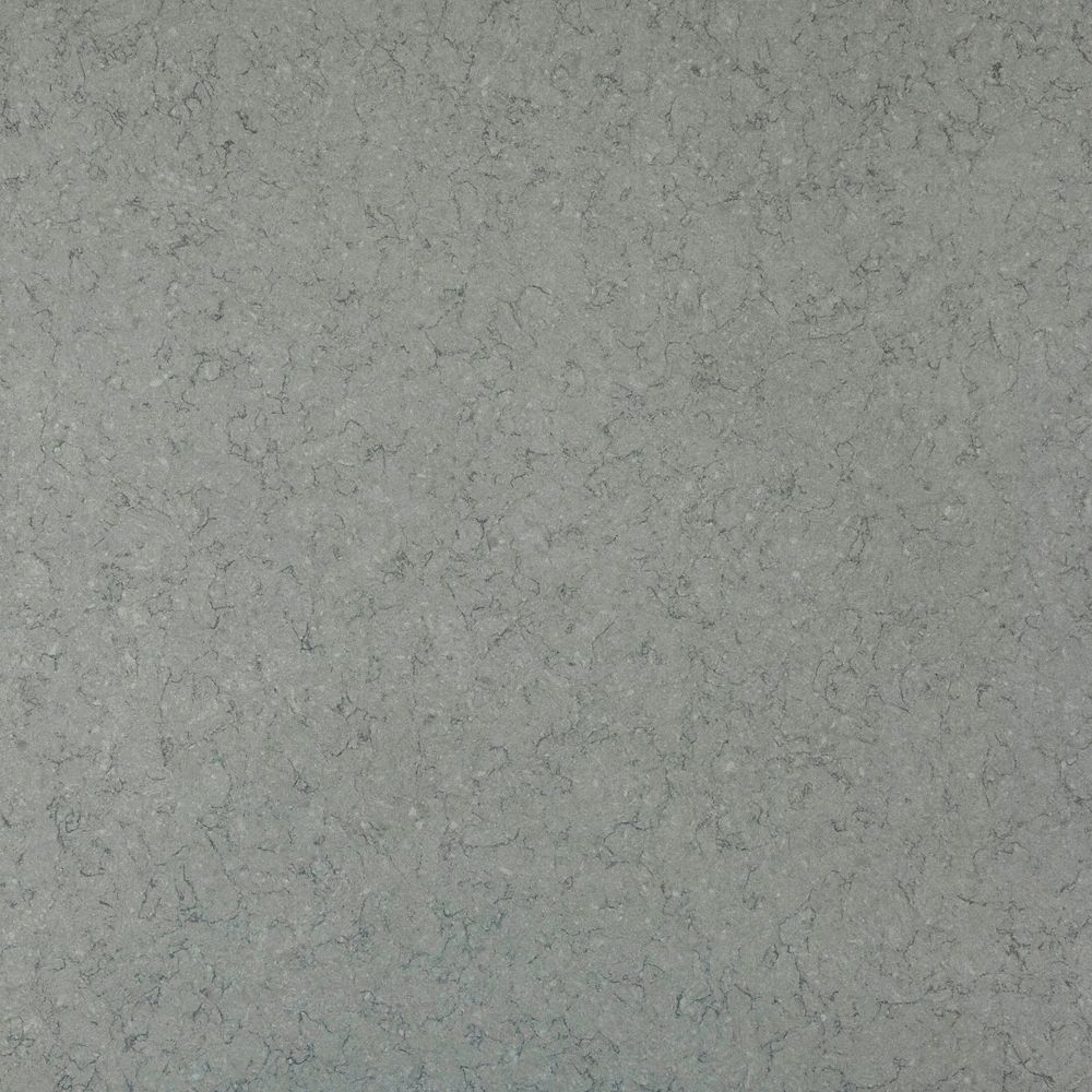 UPC 818939014292 product image for Échantillon Silestone Cygnus 4x4 | upcitemdb.com