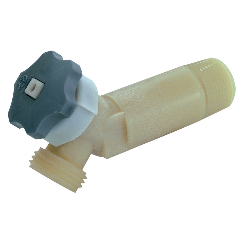 Eastman de Purge Home Depot Canada