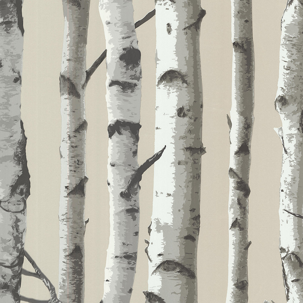 Brewster Irvin Grey Birch Tree Wallpaper Brewster Irvin Grey Birch Tree Wallpaper